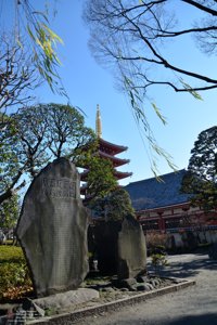 20180110113700_NIKON D7100.jpg